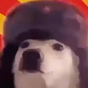 Meet your Posher, Luis